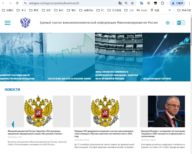 俄罗斯实体查询